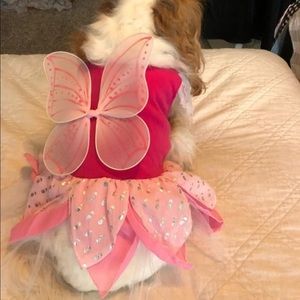 Princess Fairy Dog Halloween Costume